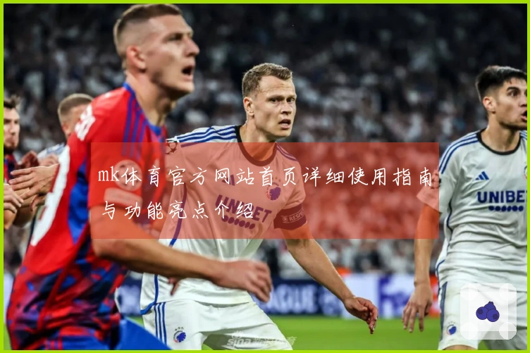 mk体育官方网站首页详细使用指南与功能亮点介绍