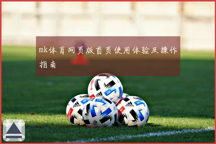 mk体育网页版首页使用体验及操作指南